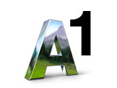 a1